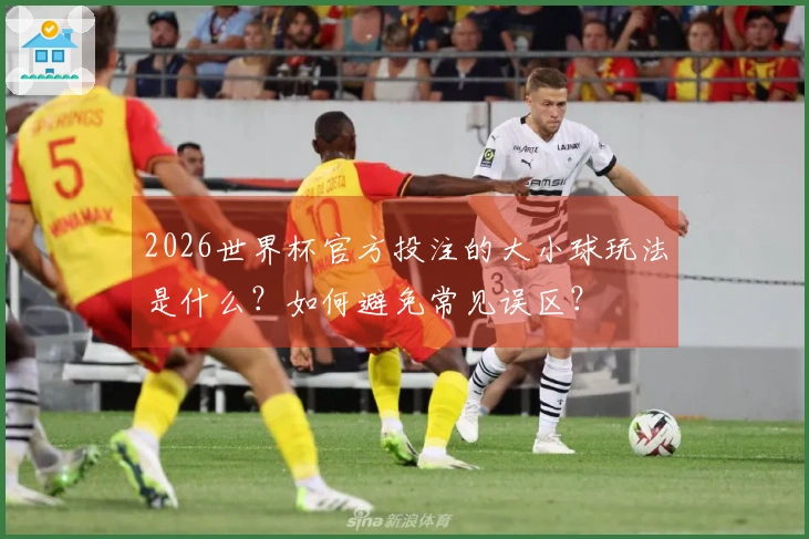 2026世界杯官方投注的大小球玩法是什么?如何避免常见误区?