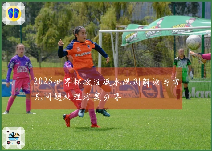 2026世界杯投注返水规则解读与常见问题处理方案分享